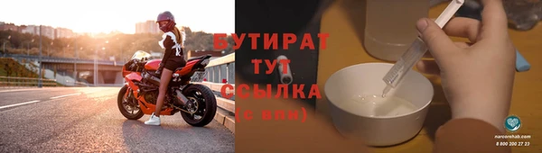 прущие грибы Тихвин