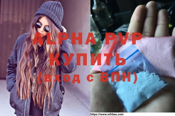 PSILOCYBIN Гусев