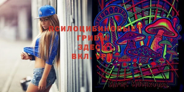 мяу мяу кристалл Вяземский