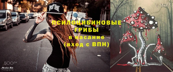 не бодяженный Гусь-Хрустальный