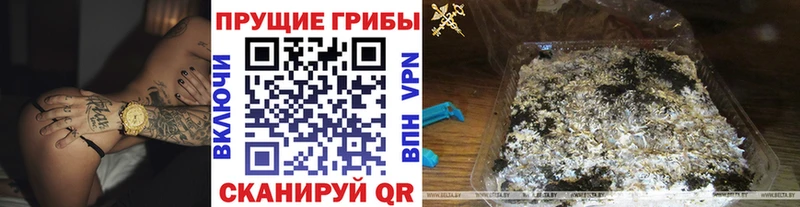 Псилоцибиновые грибы ЛСД  наркотики  Давлеканово 